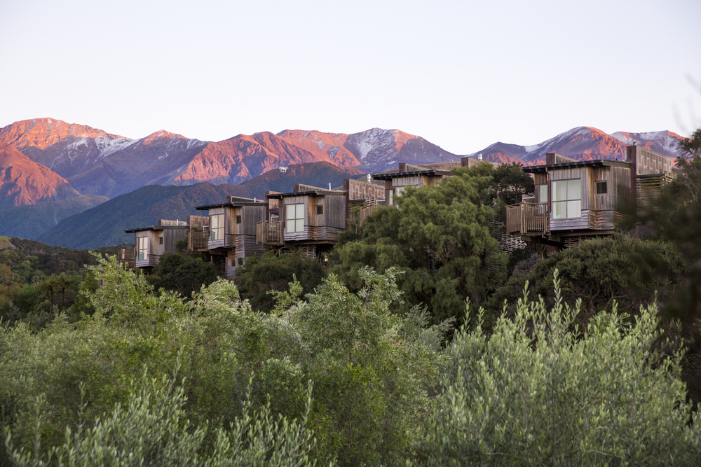 lodge et cabane dans les arbres